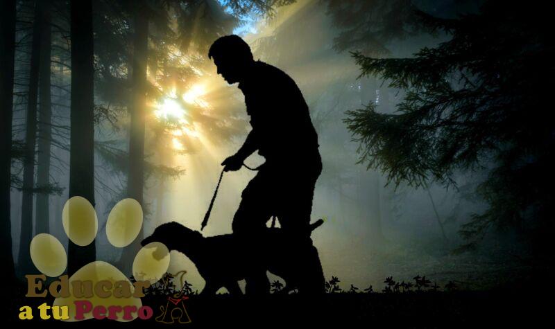 Adiestramiento perro 1638115869 - El Blog para humanos y caninos
