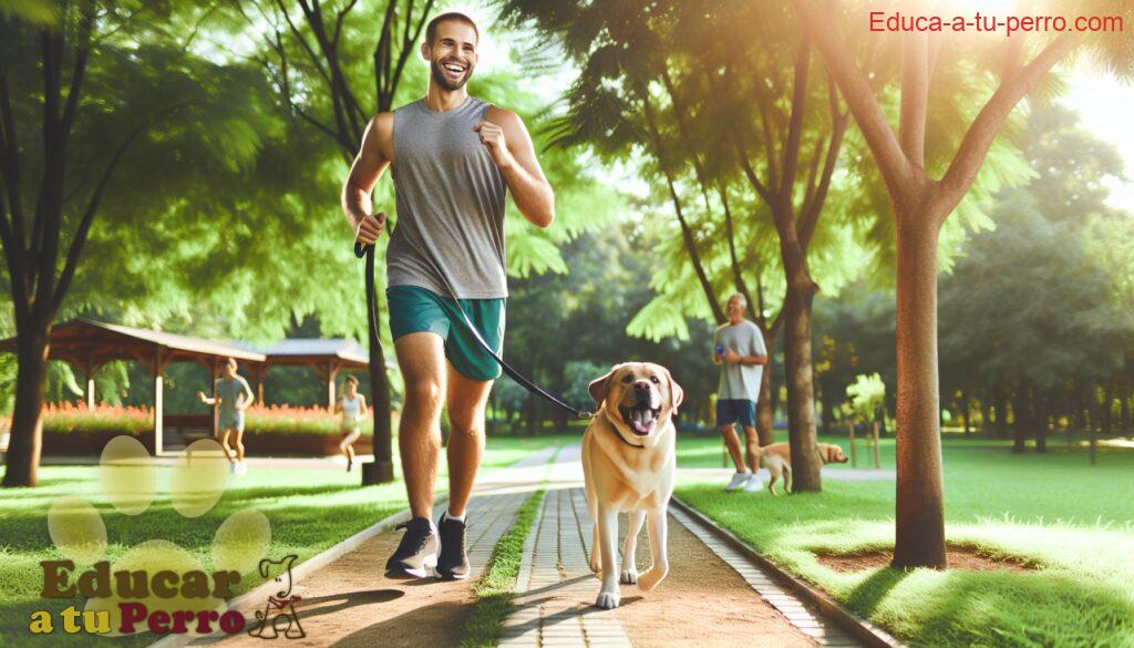 entrena con tu perro como hacerlo facilmente - Entrena con tu perro, cómo hacerlo fácilmente